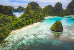 PAPUA-Raja Ampat 2026 (1 group) (30/55)